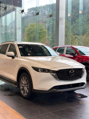 anh thuc te mazda cx 8 4